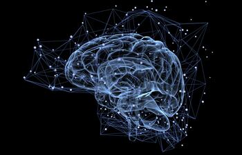 Un descodificador semántico puede traducir, en un flujo continuo de texto, el significado aproximado de la historia que una persona escucha o imagina en silencio, a partir de imágenes de su actividad cerebral, un sistema que solo funciona si cuenta con la colaboración del usuario.
