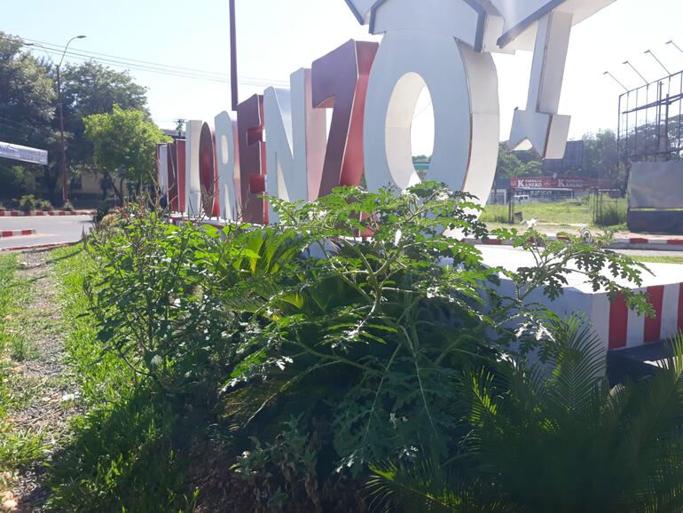 Los yuyos forman parte del paisaje de las letras corpóreas.