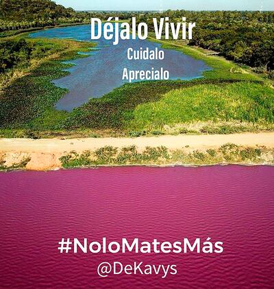 Con la imagen del sonado caso de la Laguna Cerro, la banda oriunda de Ypacaraí De Kavys llama a toda la ciudadanía a tomar conciencia sobre el cuidado del medio ambiente. Para ello, lanzarán el tema llamado “No lo mates más”.