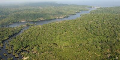 Vista aérea de una zona de la Amazonía.  (Imagen de archivo, EFE)