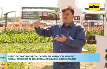 Logran que raíces de soja puedan nodular en suelo Chaqueño