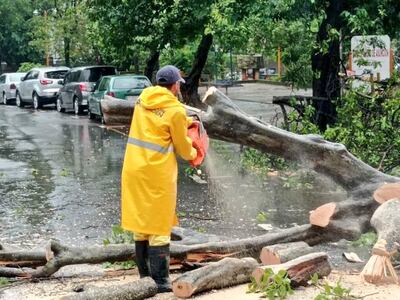 Despeje de árboles caídos en Asunción.