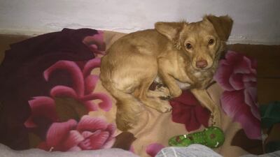 /pf/resources/images/abc-placeholder.png?d=2393