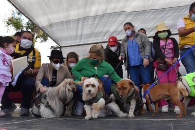 La presidenta interina boliviana, Jeanine Áñez (c), junto a mascotas durante un evento en La Paz (Bolivia).