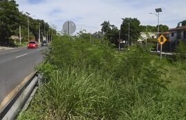 Maleza y basural en el paseo central de la Avda Ñu Guazu.