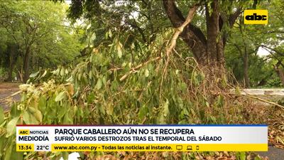 Ramas y enormes troncos se vinieron abajo con la tormenta pasada.