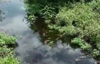 Canales de aguas del río Pilcomayo, verificados este fin de semana, tras las lluvias por técnicos de la comisión nacional de esa vía. Foto Gentileza MOPC