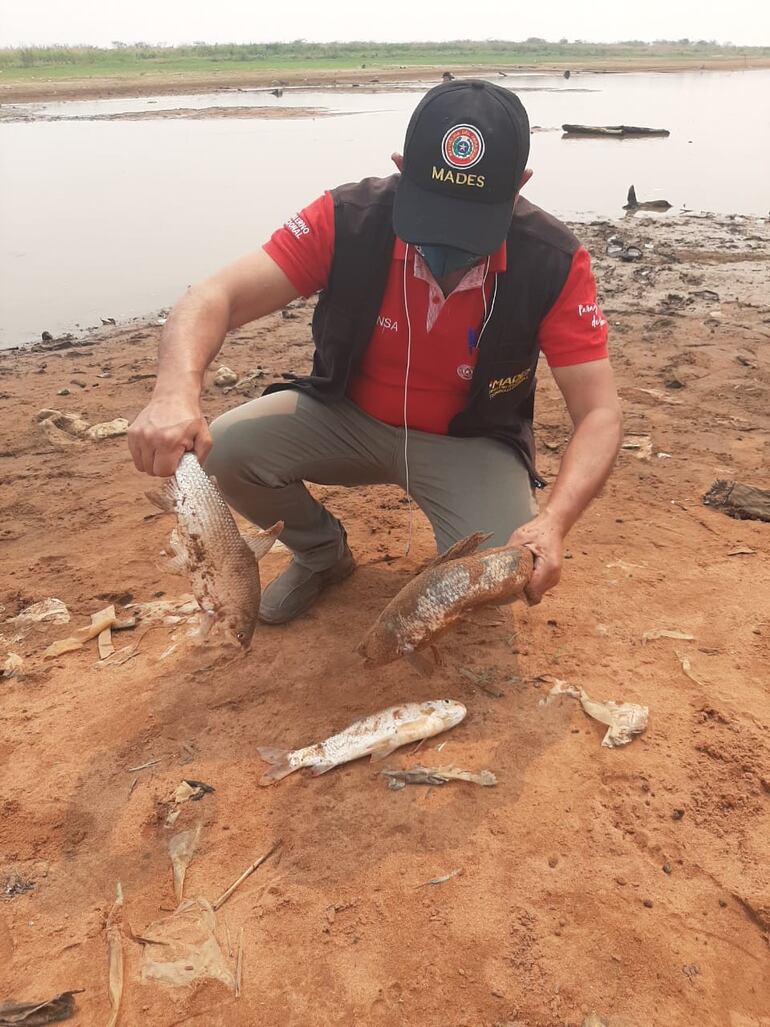 /pf/resources/images/abc-placeholder.png?d=2397