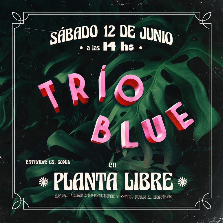 Afiche promocional del concierto.