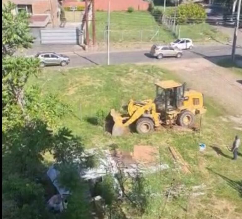 Enviado por vecinos, la máquina que acabó con los arbolitos.