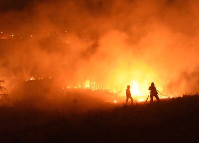 El fuego arrasó con parte de la vegetación de la Costanera Norte.