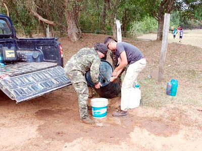 Vecinos y militares combatieron el reciente siniestro en la isla.