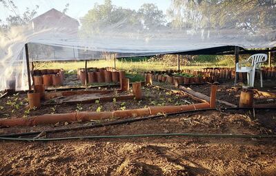 Huerta en el Bañado Norte en la comunidad San Miguel Guerrero.