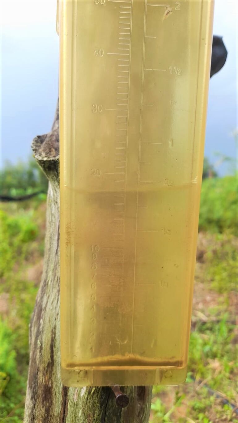 Entre ayer y hoy cayó 53 mm de lluvia en el departamento de Paraguarí.