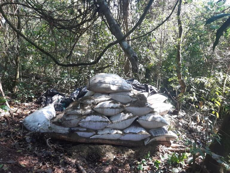Bolsas repletas de marihuana halladas cerca de los campamentos narcos.