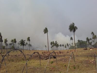La humareda es insoportable en la zona.