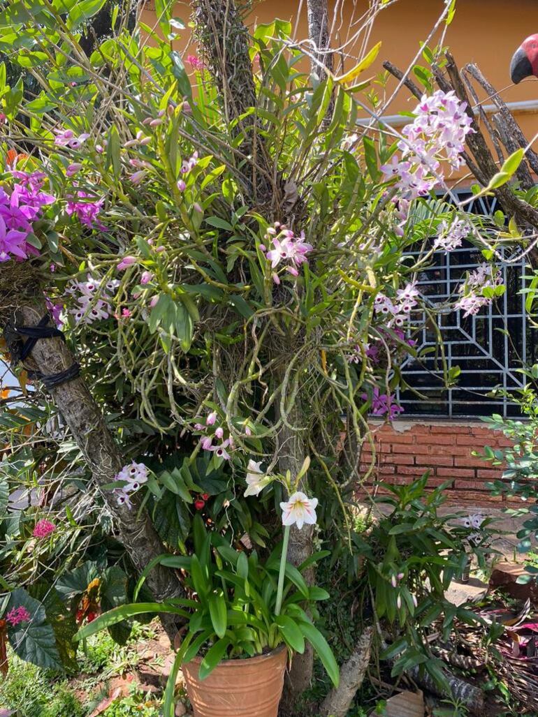 Los interesados tienen tiempo hasta mañana para pasar sus fotos.