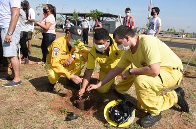 Bomberos  plantaron arbolitos. Ellos ya han trabajado incansable-
mente apagando la última ola de incendios.