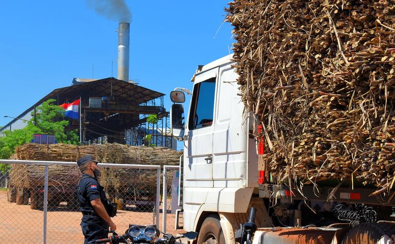 Camiones con caña al momento de ingresar a la Planta Alcoholera de Petropar en Mauricio J. Troche. 