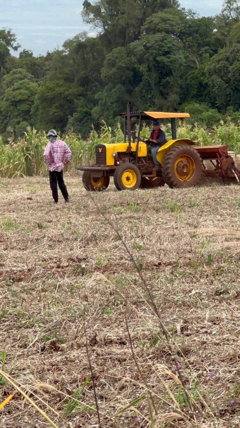 Ayer ingresó un tractor e intentó trabajar dentro de la reserva boscosa. Los campesinos ahora quieren el área silvestre.