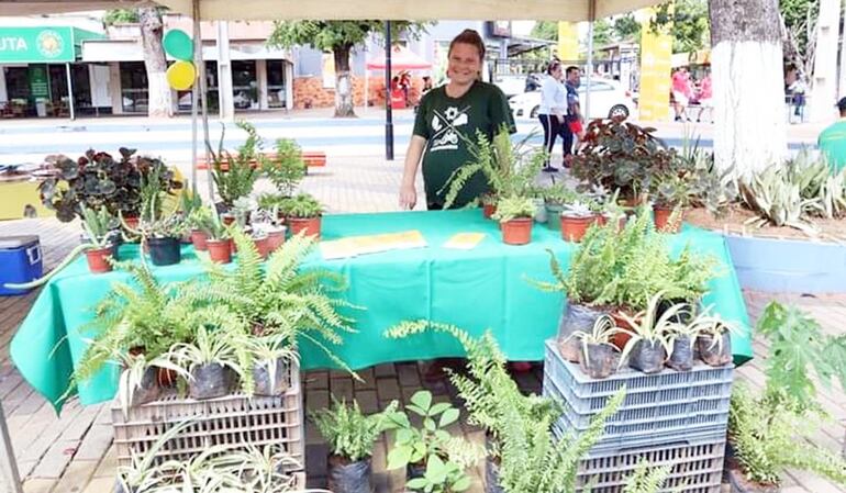 La feria KAQP Jere se lleva a cabo en la plaza Teniente Fariña  de la capital de Cordillera.