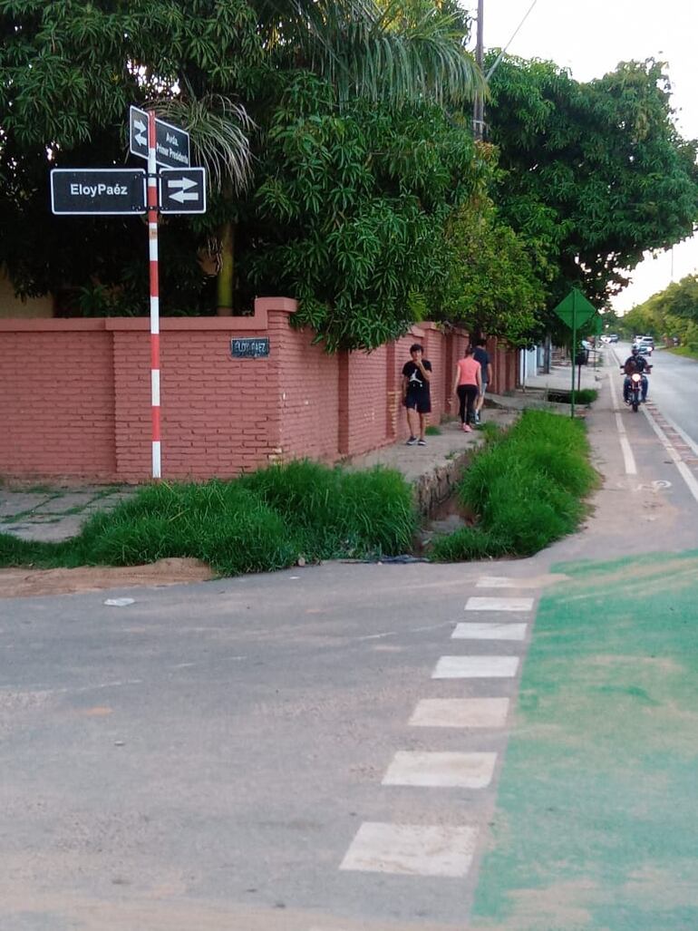 Además de agua estancada, también hay malezas en los alrededores del canal.