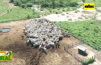 Guardar en época de abundancia, y más en el Chaco