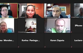 Miembros de la sociedad civil durante la reunión telemática con el ministro Manuel Ramírez Candia