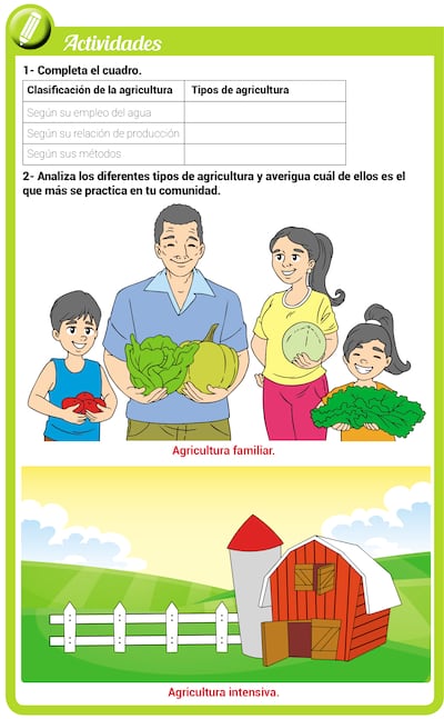 Tipos de agricultura