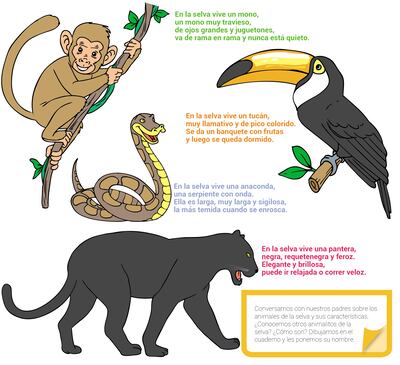 Animales de la selva