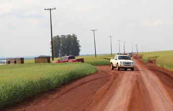 Zona del secuestro de Sandra Cristina Maceda Rubert (56), en la colonia General Díaz, distrito de Mbaracayú, Alto Paraná.