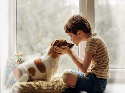 En casa estamos de fiesta, ha llegado un nuevo integrante a la familia, ¡una mascota!, todo es felicidad, pero no debemos dejar de lado lo más importante, la higiene.