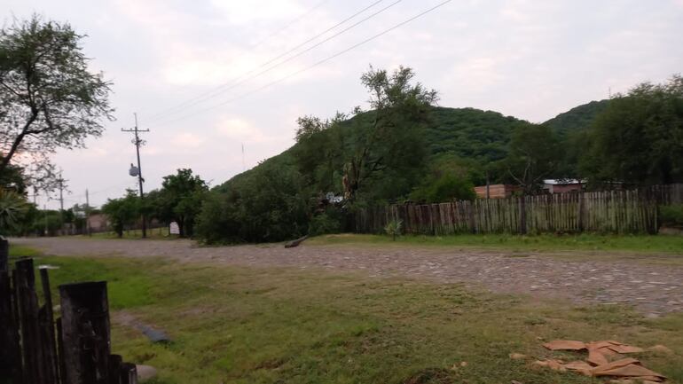 El temporal produjo el desprendimiento de ramas de árboles en Fuerte Olimpo.