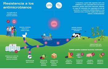 El mal uso de antibióticos no solo es un problema de salud pública también afecta al ambiente.