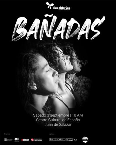 Afiche promocional de la obra "Bañadas".