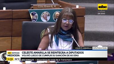 Celeste Amarilla retornó a la Cámara de Diputados luego de cumplir su sanción de 60 días.