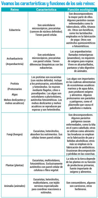 Los reinos de los seres vivos