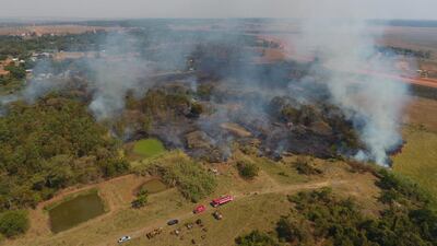 Bomberos de Coronel Oviedo intentan cortar el avance del fuego por un lado, pero más adelante las llamas avanzan rápidamente.