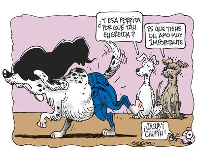 CANICHE