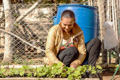 La producción de hortalizas y otros vegetales forma parte del proyecto productivo comunitario en el que participan las mujeres organizadas.