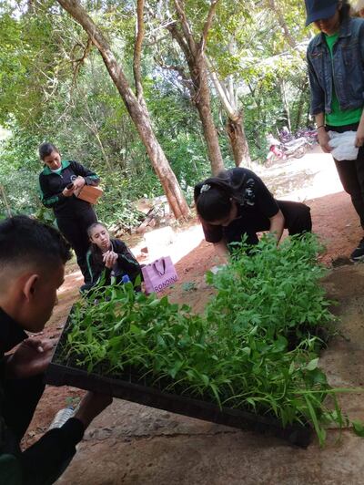 Escolares reciben plantines en el marco del programa municipal "Topa Ñembuahýi", en Yaguarón.