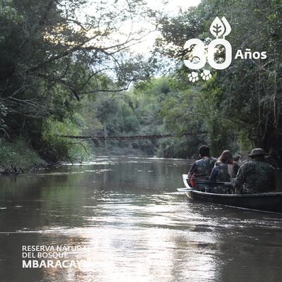 Denunciaron invaciones en la Reserva Natural del Bosque Mbaracayú.