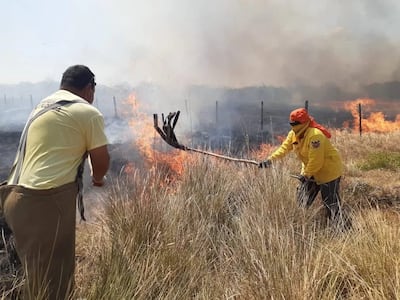 En San Pedro, enfrentan al fuego con matafuegos bajo el sol.