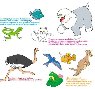 Los animales, cómo se mueven y de qué están cubiertos