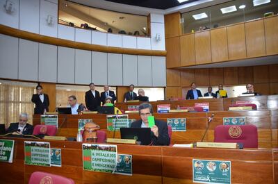 senado 13 de diciembre