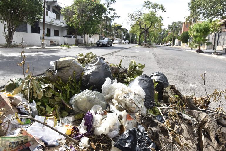 Basura en varias esquinas del paseo central de la avenida Carlos Antonio López. Frentistas denuncian sin respuesta.