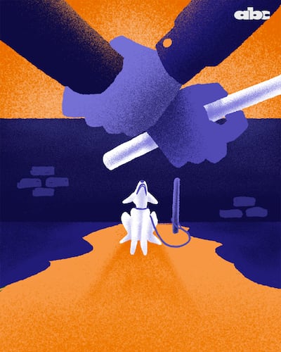 Reactivan campaña contra el maltrato infantil, con énfasis en la educación de los chicos a el respeto hacia los animales.