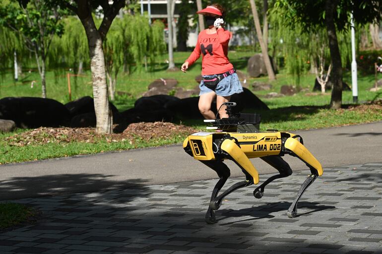 Spot, un robot que emite un mensaje recordando a las personas que deben mantener la distancia, como medida de prevención contra la propagación del coronavirus, en el parque Bishan-Ang Moh Kio en Singapur.