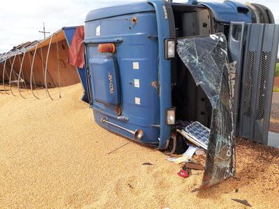 Toda la carga de maíz quedó esparcida en la ruta.