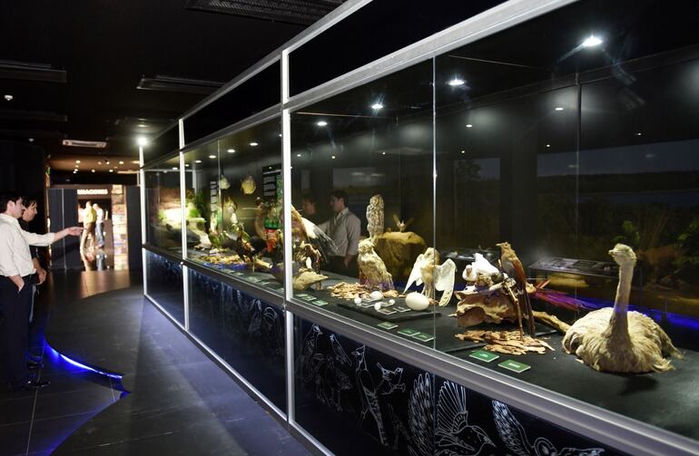 Una visita al museo de la Tierra Guaraní es una de la opciones para visitar el circuito de Itaipú.